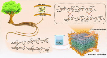 Graphical abstract: Plant bio-inspired laminar cellulose-based foam with flame retardant, thermal insulation and excellent mechanical properties