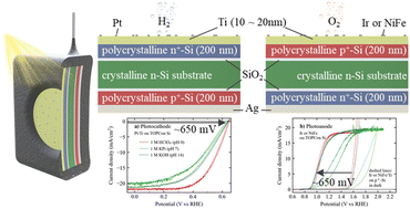 Graphical abstract: Dual-purpose tunnel oxide passivated contact on silicon photoelectrodes with high photovoltages for tandem photoelectrochemical devices enabling unassisted water splitting