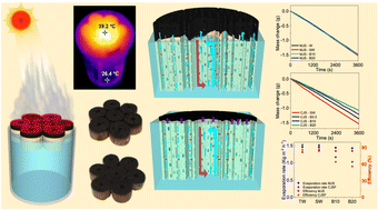 Graphical abstract: Jute stick derived self-regenerating sustainable solar evaporators with different salt mitigation mechanisms for highly efficient solar desalination