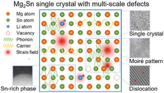 Graphical abstract: Enhanced thermoelectric performance of p-type Mg2Sn single crystals via multi-scale defect engineering
