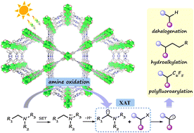 Graphical abstract: Efficient amine oxidation using metal–organic framework photocatalysts for aminoalkyl radical-mediated halogen-atom transfer