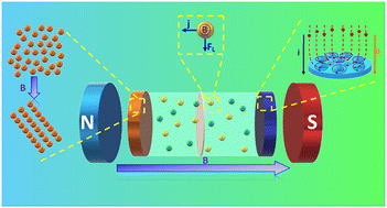 Graphical abstract: Recent developments, challenges and future prospects of magnetic field effects in supercapacitors