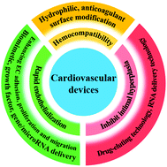 Graphical abstract: Recent strategies for improving hemocompatibility and endothelialization of cardiovascular devices and inhibition of intimal hyperplasia