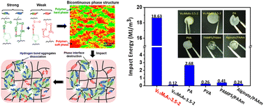 Graphical abstract: An impact resistant hydrogel enabled by bicontinuous phase structure and hierarchical energy dissipation
