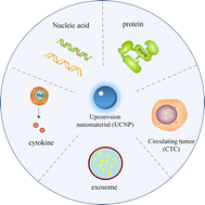 Graphical abstract: Recent advances in tumor biomarker detection by lanthanide upconversion nanoparticles