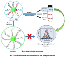 Graphical abstract: Phase transferred and non-coated, water soluble perovskite quantum dots for biocompatibility and sensing