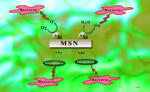 Graphical abstract: Antibacterial composite: polymeric mesoporous silica nanoparticles and combination of imipenem/meropenem
