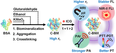 Graphical abstract: Crosslinked albumin–manganese nanoaggregates with sensitized T1 relaxivity and indocyanine green loading for multimodal imaging and cancer phototherapy