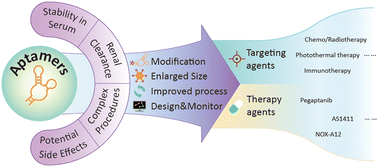 Graphical abstract: Aptamers in cancer therapy: problems and new breakthroughs