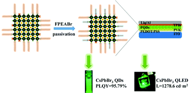 Graphical abstract: Surface ligand engineering involving fluorophenethyl ammonium for stable and strong emission CsPbBr3 quantum dots and high-performance QLEDs