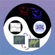 Graphical abstract: A dynamic irradiation-responsive material for advanced anti-counterfeiting in dark and bright fields