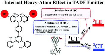 Graphical abstract: Understanding the internal heavy-atom effect on thermally activated delayed fluorescence: application of Arrhenius and Marcus theories for spin–orbit coupling analysis