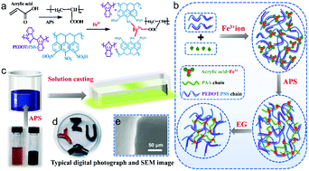 Graphical abstract: A highly adhesive, self-healing and perdurable PEDOT:PSS/PAA–Fe3+ gel enabled by multiple non-covalent interactions for multi-functional wearable electronics