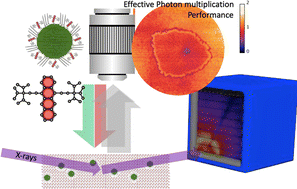 Graphical abstract: Linking microscale morphologies to localised performance in singlet fission quantum dot photon multiplier thin films