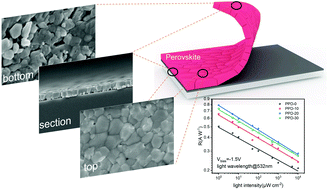 Graphical abstract: Inhibition of buried cavities and defects in metal halide perovskite photodetectors via a two-step spin-coating method