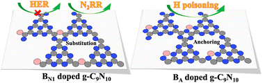 Graphical abstract: Activity and selectivity of N2 fixation on B doped g-C9N10: a density functional theory study