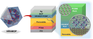 Graphical abstract: A self-arranged metal–organic polyhedron/fullerene asymmetric structure improves the performance of inverted perovskite solar cells