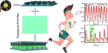Graphical abstract: High-performance piezoresistive flexible pressure sensor based on wrinkled microstructures prepared from discarded vinyl records and ultra-thin, transparent polyaniline films for human health monitoring