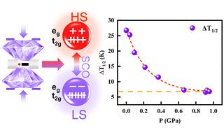 Graphical abstract: The joint effect of elasticity, interaction energy and entropy on behavior of pressure- and temperature-induced electronic bistability in a family of two-dimensional Hofman-like coordination polymers