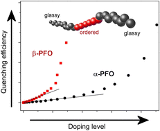 Graphical abstract: Dynamics and coherence of photoexcited states in polyfluorene films with ordered chain phases