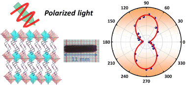 Graphical abstract: Centimeter-size single crystal of a lead-free double perovskite for broad-spectrum polarization-sensitive detection