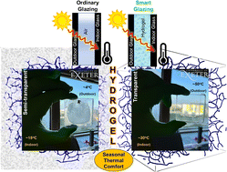 Graphical abstract: An optimal climate-adaptable hydrogel-filled smart window for the energy-saving built environment