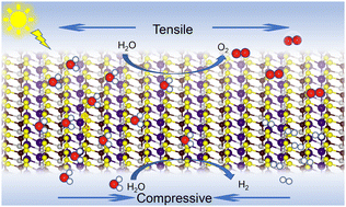 Graphical abstract: The GaPS2Se2 monolayer: a novel stable 2D Janus semiconductor with anisotropic properties for spontaneous water splitting under the irradiation of solar light