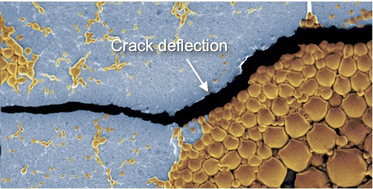 Graphical abstract: The synergistic effect of topography and stiffness as a crack engineering strategy for stretchable electronics