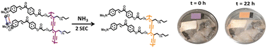 Graphical abstract: Ultra-low-temperature reversible thermochromism and contactless bacterial sensing by chalcone-functionalized polydiacetylene