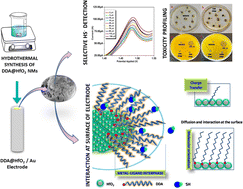 Graphical abstract: Green dodecylamine-capped hafnium oxide nanosystem: evaluating the toxicity profile and electrochemical hydrogen sulfide sensing efficiency