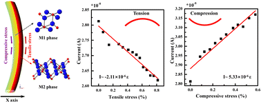 Graphical abstract: Dispersed VO2 phases in a flexible sensor for recognizing tensile and compressive stress