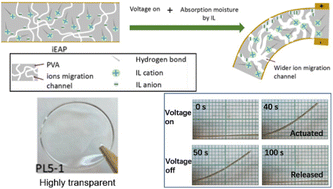 Graphical abstract: Preparation and characterization of transparent polymeric electrolyte containing ionic liquid with long alkyl chains for electroactive polymers