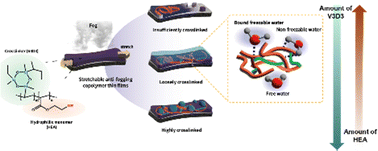 Graphical abstract: One-step synthesis of a robust, ultrathin, stretchable antifogging copolymer film