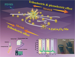 Graphical abstract: Doping dependent dual-response mechanoluminescence in ZnGa2O4