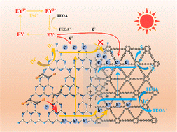 Graphical abstract: A novel graphdiyne (CnH2n−2) synthesis strategy: design and application of an organic/inorganic conjugated system for photocatalytic hydrogen production