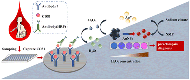 Graphical abstract: A dichromatic plasmonic ELISA CD81 protein sensor for ultrasensitive detection of preeclampsia