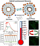 Graphical abstract: Designing a nanothermometer using gel-to-liquid phase transition property of hybrid niosome