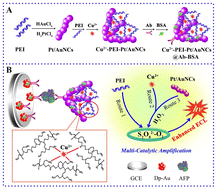 Graphical abstract: An electrochemiluminescence immunosensor based on multipath signal catalytic amplification integrated in a Cu2+–PEI–Pt/AuNC nanocomposite