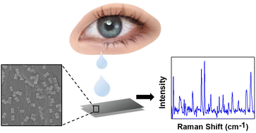 Graphical abstract: Plasmonic nanomaterials-based flexible strips for the SERS detection of gouty arthritis