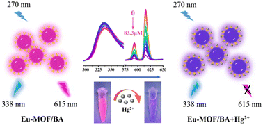 Graphical abstract: Rational design of a functionalized metal–organic framework for ratiometric fluorimetric sensing of Hg2+ in environmental water