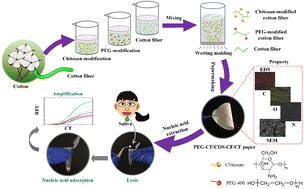 Graphical abstract: A wash-free, elution-free and low protein adsorption paper-based material for nucleic acid extraction