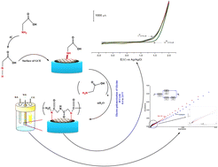 Graphical abstract: Sensitive and selective determination of paracetamol in antipyretic children's syrup with a polyglycine modified glassy carbon electrode