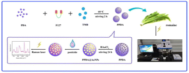 Graphical abstract: High-efficiency SERS platform based on 3D porous PPDA@Au NPs as a substrate for the detection of pesticides on vegetables