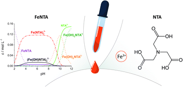 Graphical abstract: Preparation and characterization of iron(iii) nitrilotriacetate complex in aqueous solutions for quantitative protein binding experiments