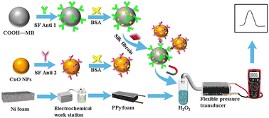 Graphical abstract: In situ detection of silk fibroin using a dual recognition strategy with a flexible pressure immunosensor