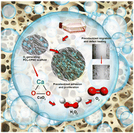 Graphical abstract: Scaffolds with high oxygen content support osteogenic cell survival under hypoxia