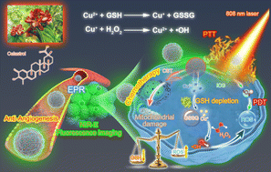 Graphical abstract: Self-delivery of a metal-coordinated anti-angiogenic nanodrug with GSH depleting ability for synergistic chemo-phototherapy