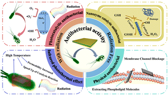 Graphical abstract: Unveiling the antibacterial strategies and mechanisms of MoS2: a comprehensive analysis and future directions