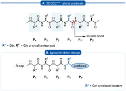 Graphical abstract: P1 Glutamine isosteres in the design of inhibitors of 3C/3CL protease of human viruses of the Pisoniviricetes class