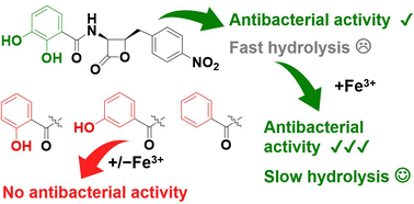 Graphical abstract: The catechol moiety of obafluorin is essential for antibacterial activity